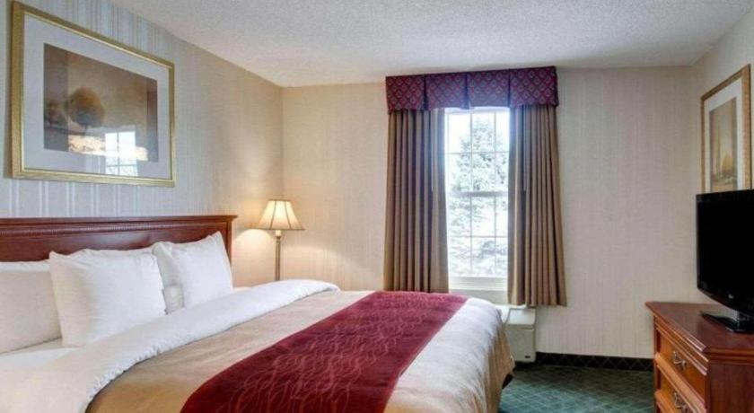 Comfort Inn Foxboro - Mansfield Foxborough Exterior foto
